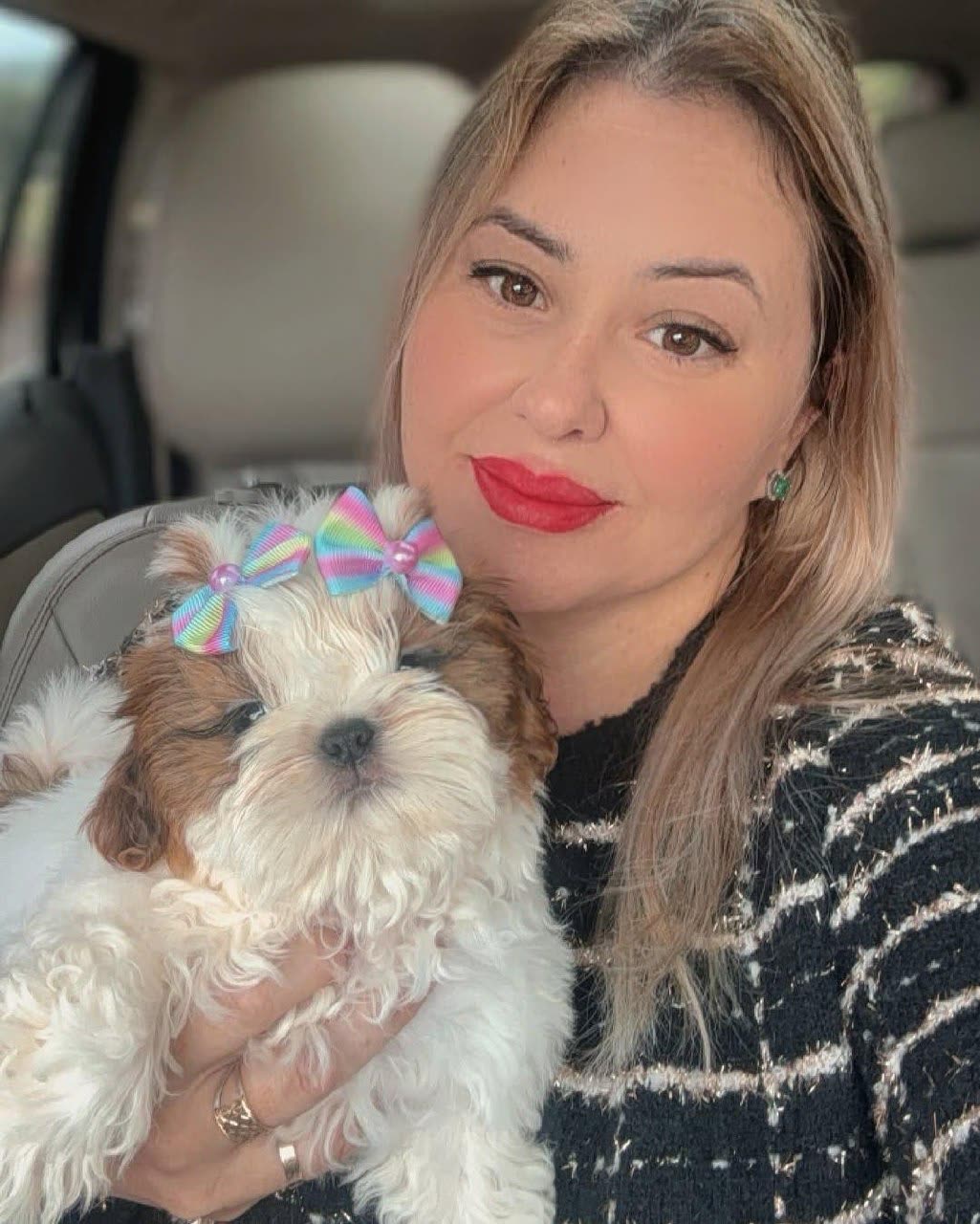 Claire, a gold and white Shih Tzu puppy with a rainbow bow, held by her new mum in the car