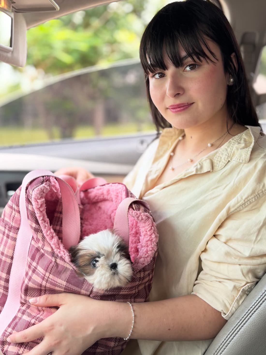 Miranda in her car with Roy, a gold and white Shih Tzu puppy, peeking out of a pink carrier bag on her lap